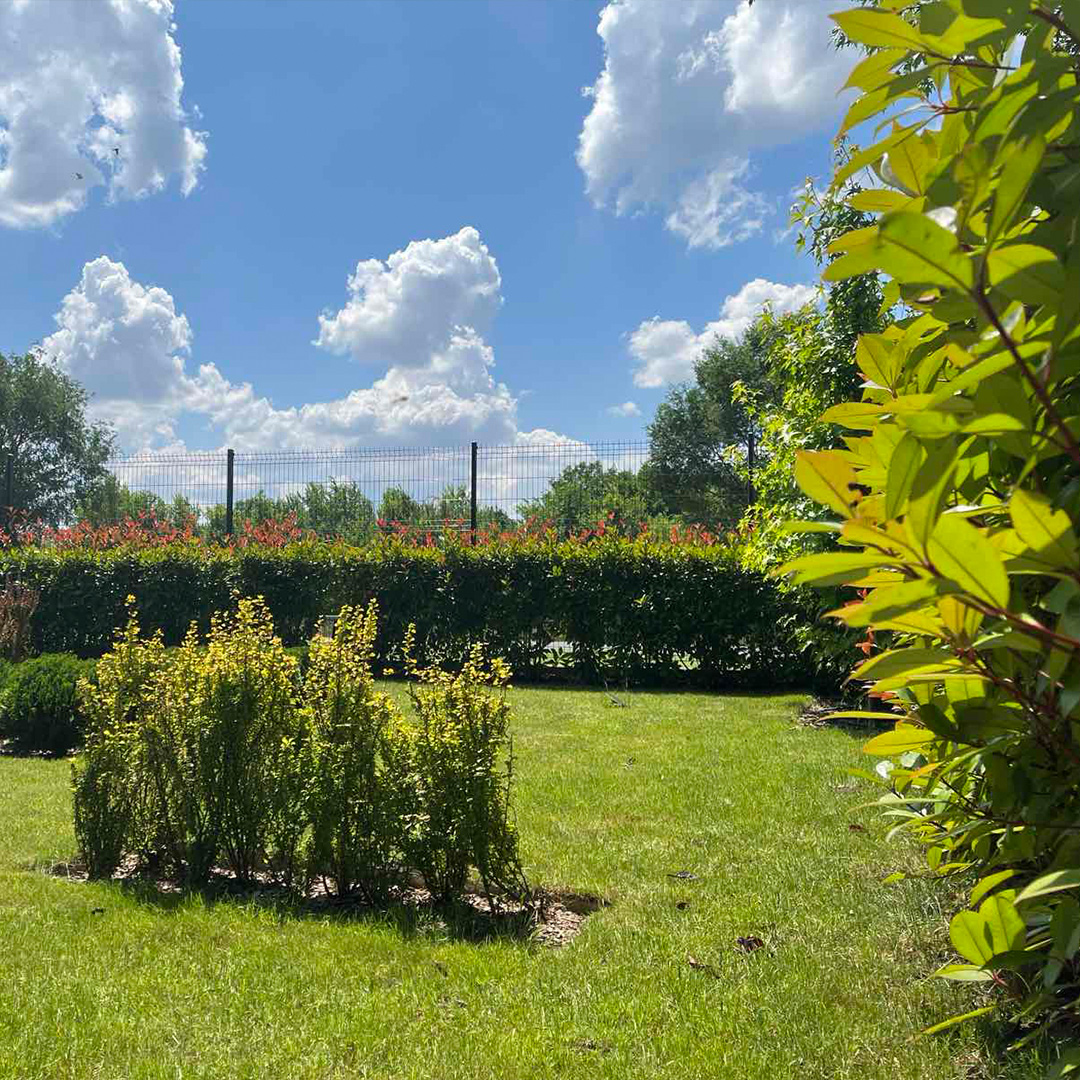 INPUT WINS FIRST PRIZE IN THE MOST BEAUTIFUL GARDEN COMPETITION